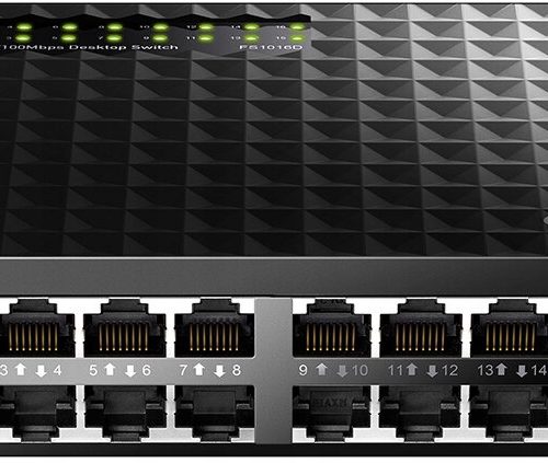 Switch CUDY FS1016D