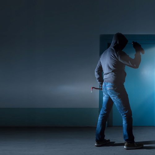 Kamera IP Reolink E1 outdoor poe