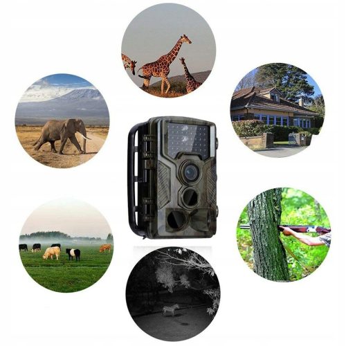 FOTOPUŁAPKA KAMERA LEŚNA HC800A zdjęcia filmy