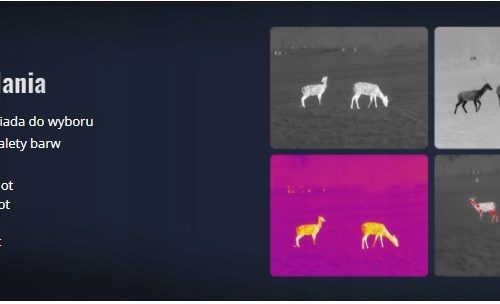 Kamera Termowizyjna Termowizor HIKVISION LYNX C06