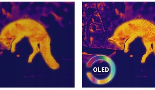 CELOWNIK TERMOWIZYJNY LUNETA PEGASUS PFI-P650 PIXF...