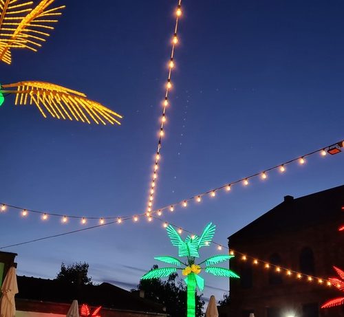 PALMA LED ZEWNĘTRZNA CAŁOROCZNA 4,5M 3045 ledów