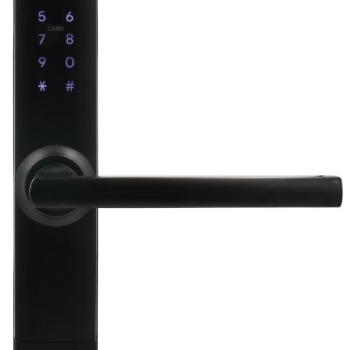 Klamka z kontrolerem dostępu EURA ELH-71H4 Black,...