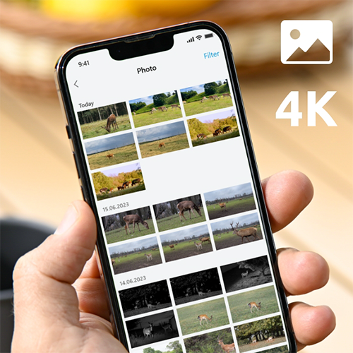 Kamera zewnętrzna obrotowa Reolink Go Ranger PT 4K GSM| Akumulator | LTE 4G 3G | Bezprzewodowa | Tryb nocny | Czujnik ruchu | Na kartę Sim