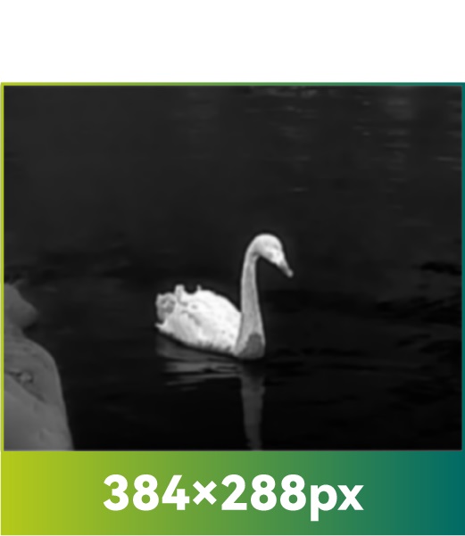 Kamera Termowizyjna Monokular Ręczny Mile 2 PFI-M215 Pixfra - obrazek 8